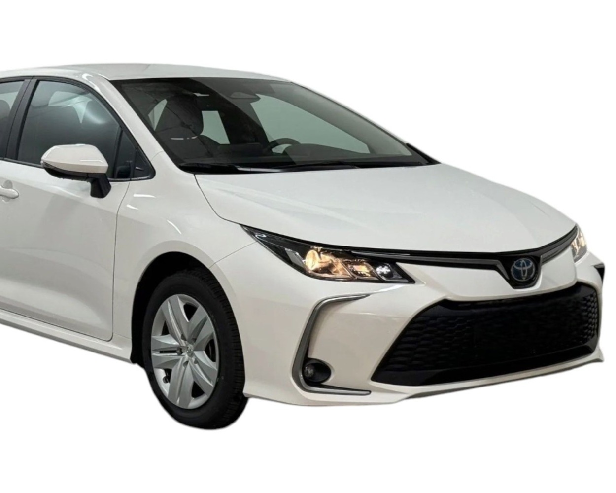 Group Transfer Minivan